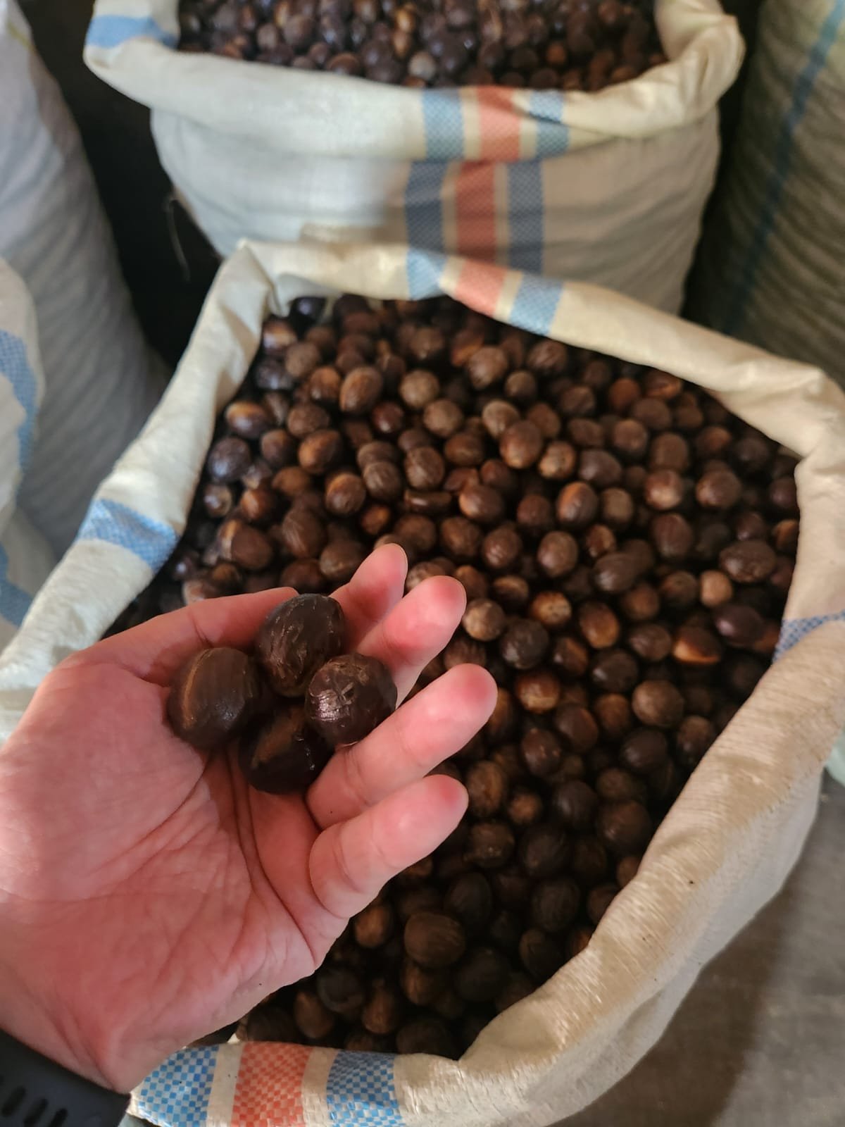 Whole Nutmeg